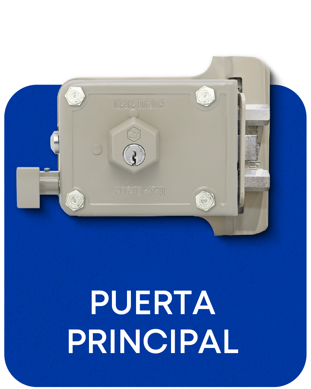 PUERTA PRINCIPAL